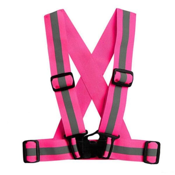 endurskinsseðlar pink.jpg