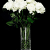 vase111-2048×2048.jpg