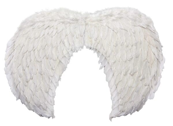 Veingir hvítar 60x44cm