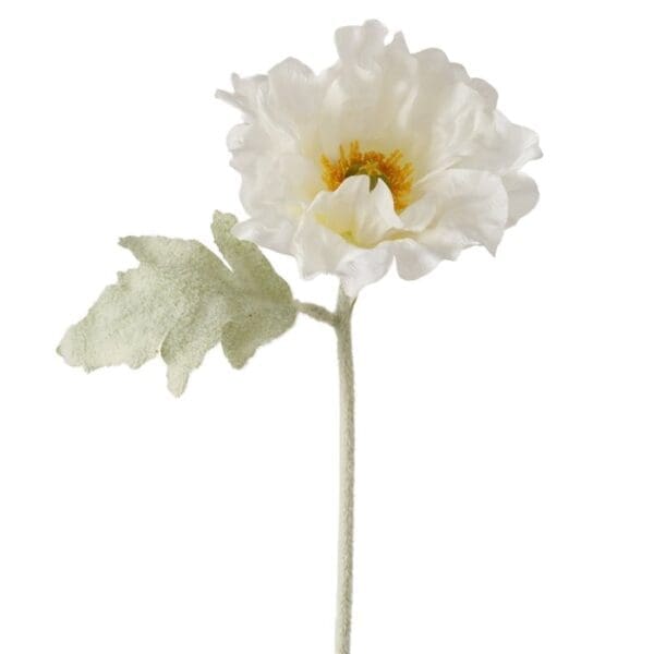 Blómuleggur, Korn valmue H47cm, ráhvít