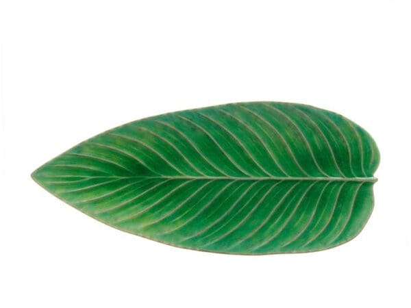 Serveringsfat Riviera blað 40x17cm grønt