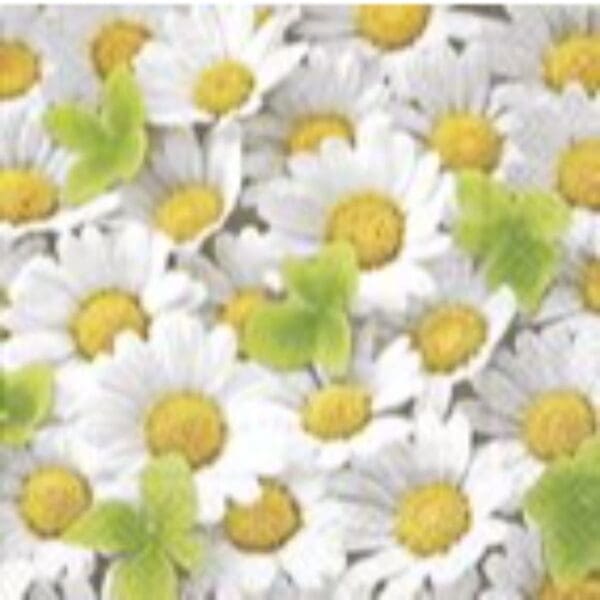 Serviettar Summardáar 20 stk