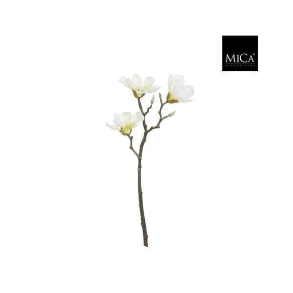 Magnolia grein L55cm creme