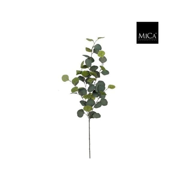 Eucalyptus grein L90cm grøn