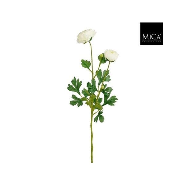 Ranunculus sólja L70cm, creme