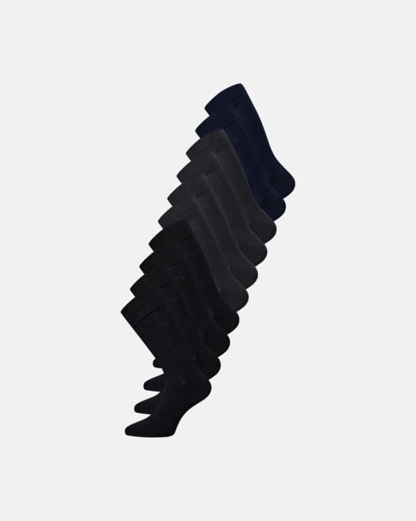 Claudio bambus hosur, 10 pør