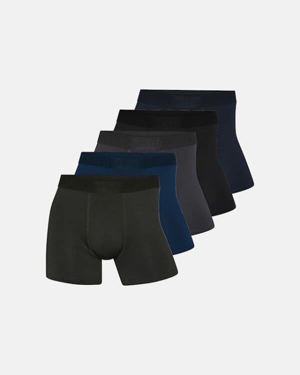 Boxershorts Airmesh 5 pør