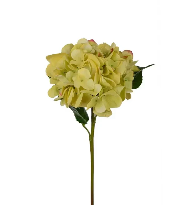 Hortensia 55cm, lime