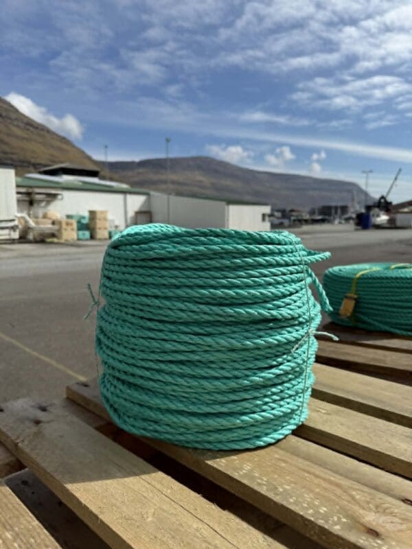 Danline grønt 10 mm 220 m.