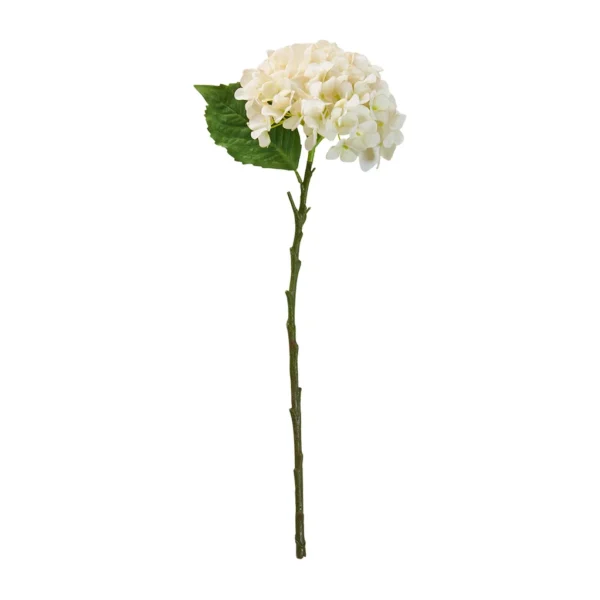 Horsentia stilk 48 cm