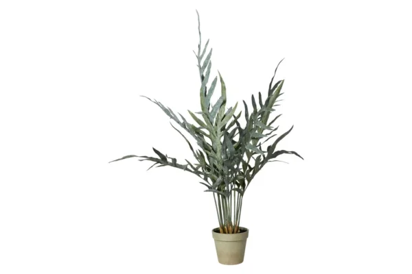 Trøllakambur í potti H: 81cm