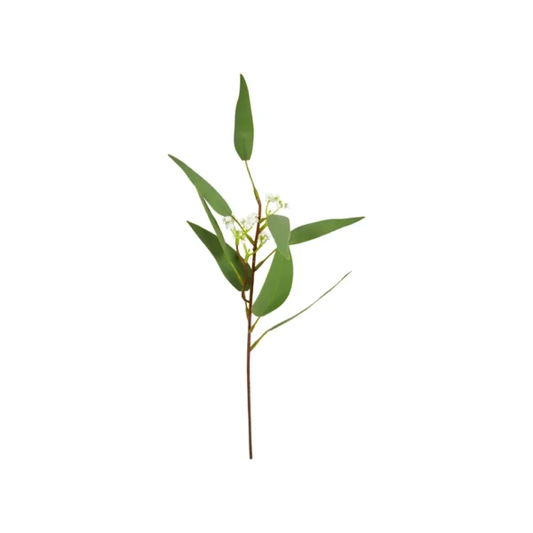 Eukalyptus stilk 43cm