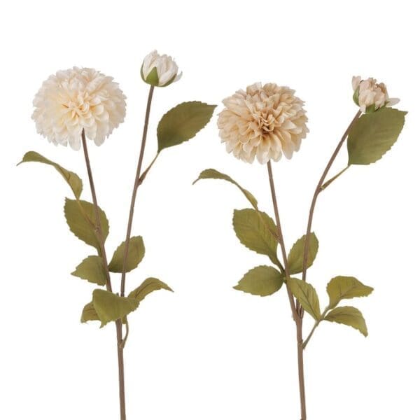Chrysanthemums, 2 ass. H: 73 cm